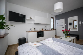 Apartamenty AP 1, Częstochowa